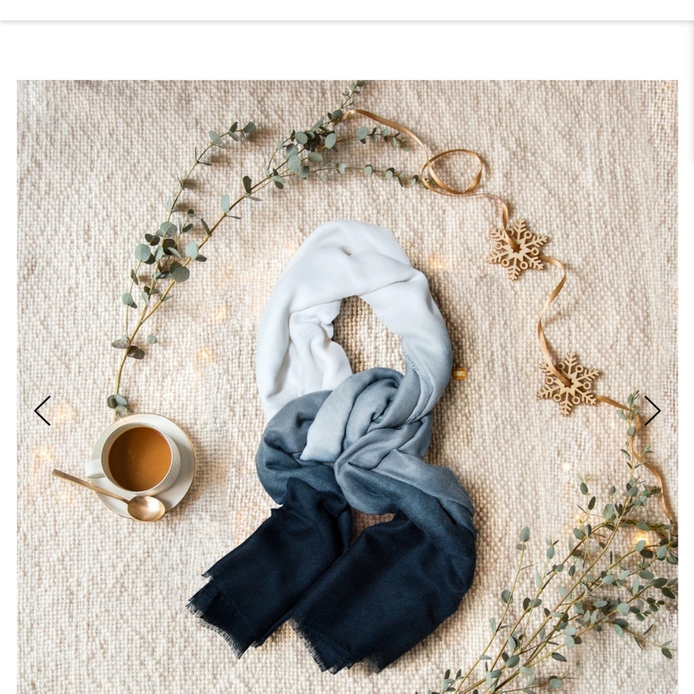 RACHEL ZOE Curateur Box of Style Ombre Scarf